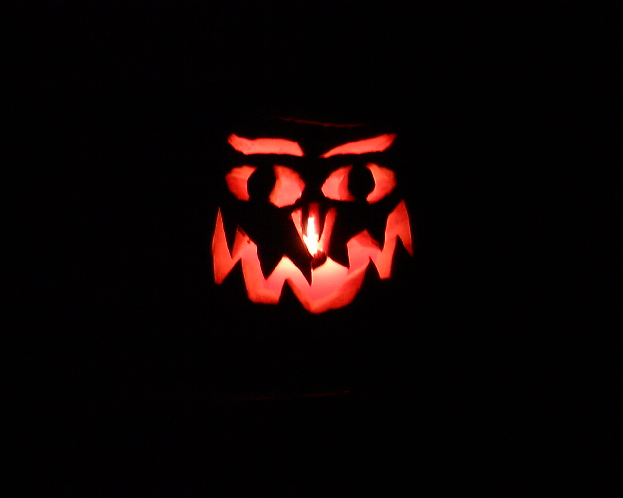 pumpkin_02.jpg